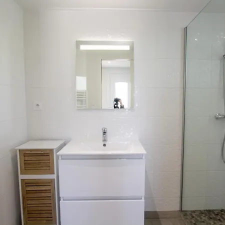 Maison Climatisee Avec Jardin Privatif Et Parking - Fr-1-616-305